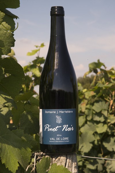 I.G.P. Val de Loire Rouge - Pinot noir